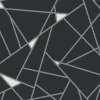 Black & White Resource Library Prismatic Wallpaper - Black & Silver