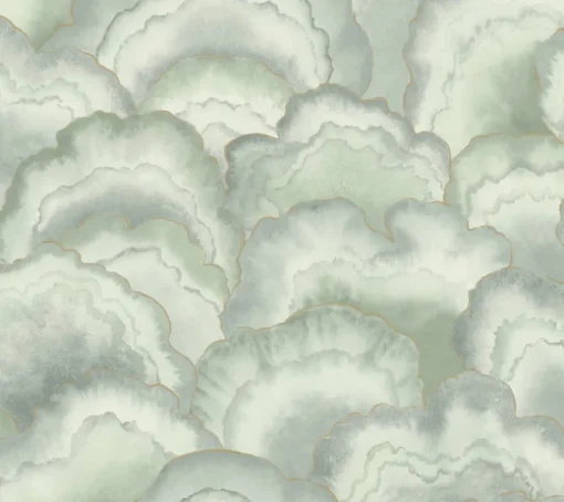 Candice Olson Natural Discovery Abalone Fans Wallpaper - Seaglass