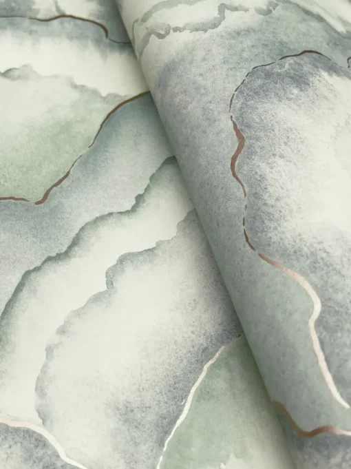 Candice Olson Natural Discovery Abalone Fans Wallpaper - Seaglass