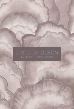 Candice Olson Natural Discovery Abalone Fans Wallpaper - Seaglass