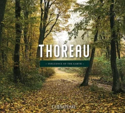 Chesapeake Thoreau Birdsong Wallpaper - Mauve