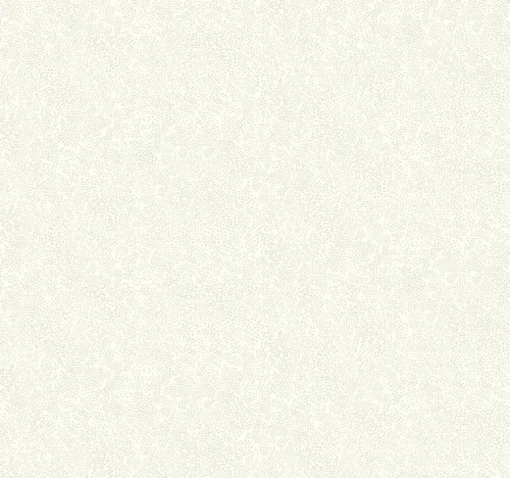 Rifle Paper Co. Champagne Dots Wallpaper - Linen
