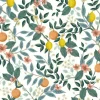Rifle Paper Co. Citrus Grove Peel & Stick Wallpaper - Yellow & Green