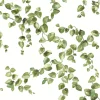 Simply Farmhouse Creeping Fig Vine Wallpaper - Green