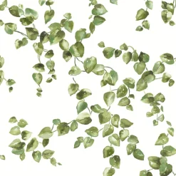 Simply Farmhouse Creeping Fig Vine Wallpaper - Green