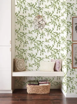 Simply Farmhouse Creeping Fig Vine Wallpaper - Green