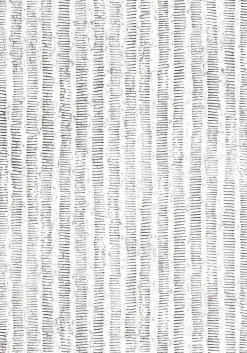 Thibaut Modern Resource 3 Cork Forest Wallpaper - Black & White