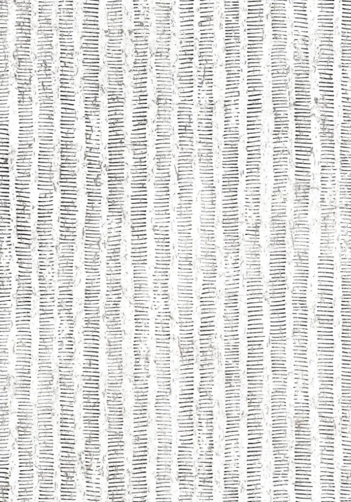 Thibaut Modern Resource 3 Cork Forest Wallpaper - Black & White