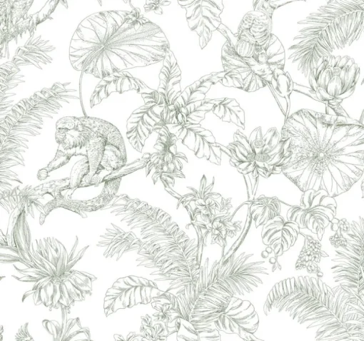 Toile Resource Library Tropical Sketch Toile Wallpaper - Green